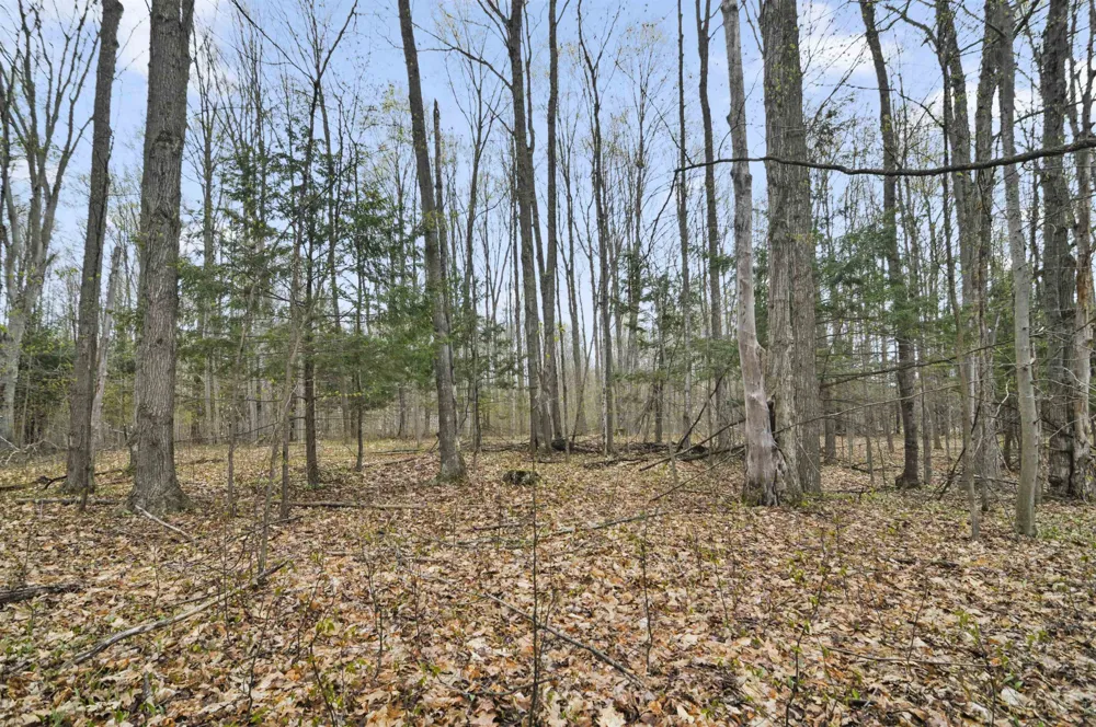 2561 E Johnson Road Norwich Township, MI 49651