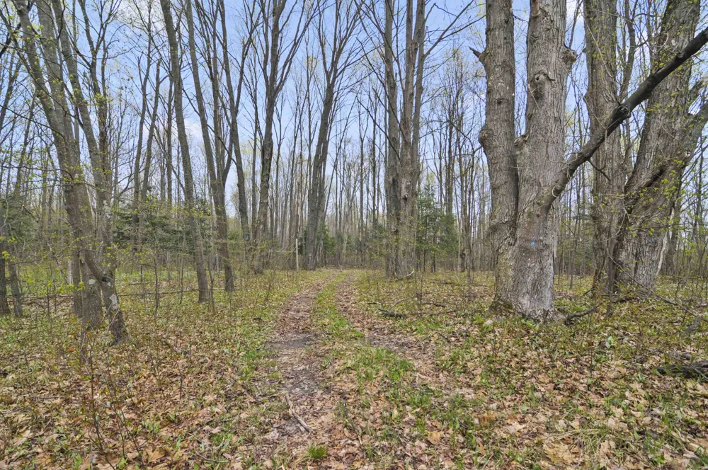 2561 E Johnson Road Norwich Township, MI 49651