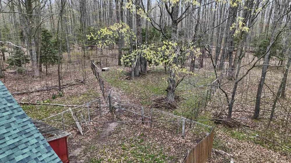 2561 E Johnson Road Norwich Township, MI 49651