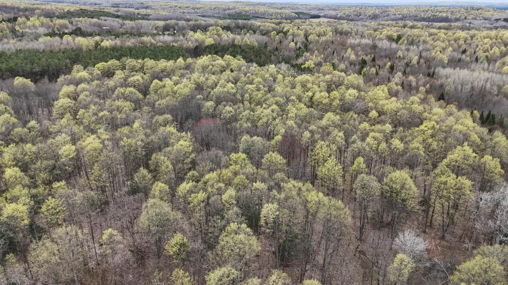 2561 E Johnson Road Norwich Township, MI 49651