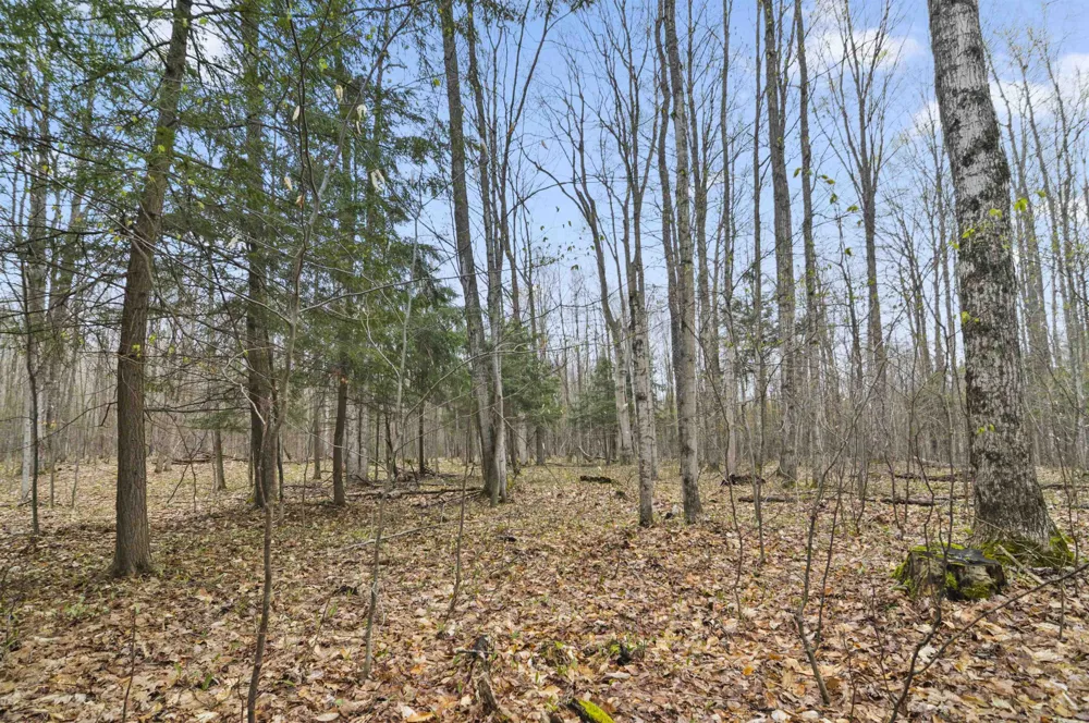 2561 E Johnson Road Norwich Township, MI 49651