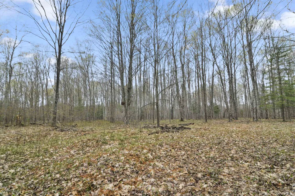 2561 E Johnson Road Norwich Township, MI 49651