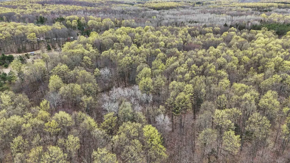 2561 E Johnson Road Norwich Township, MI 49651