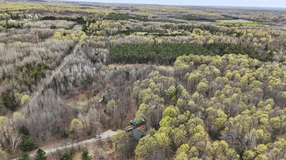 2561 E Johnson Road Norwich Township, MI 49651