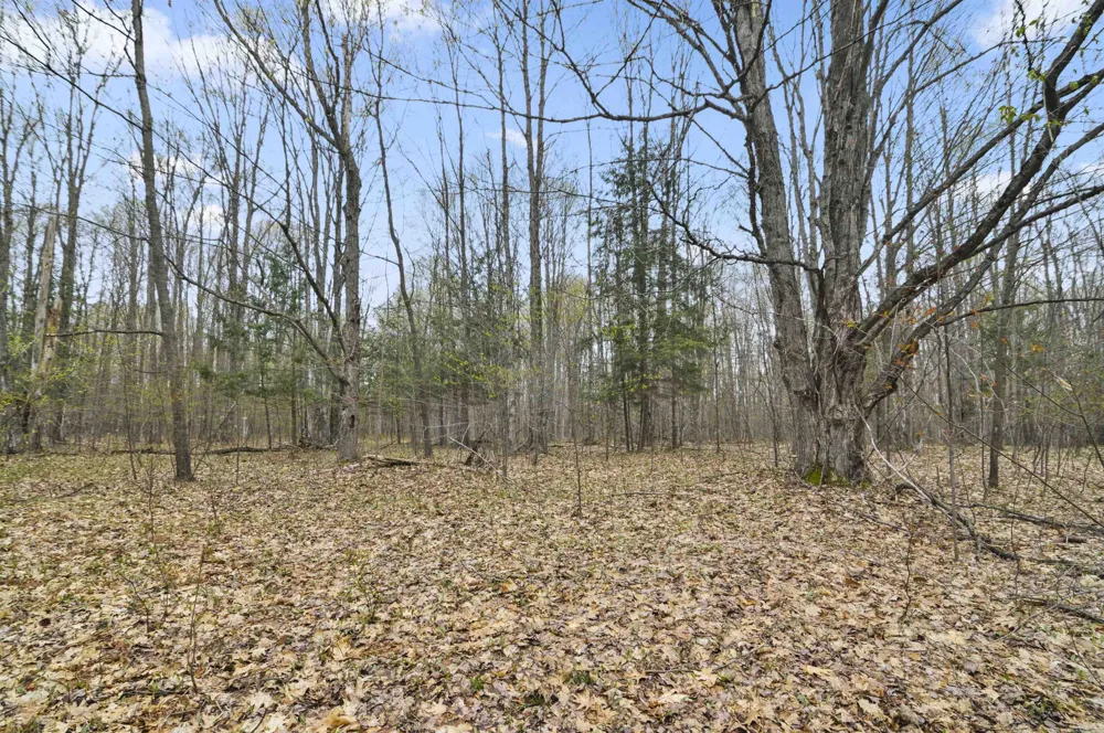 2561 E Johnson Road Norwich Township, MI 49651