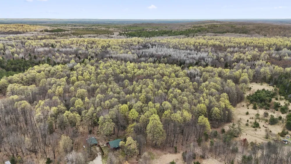 2561 E Johnson Road Norwich Township, MI 49651