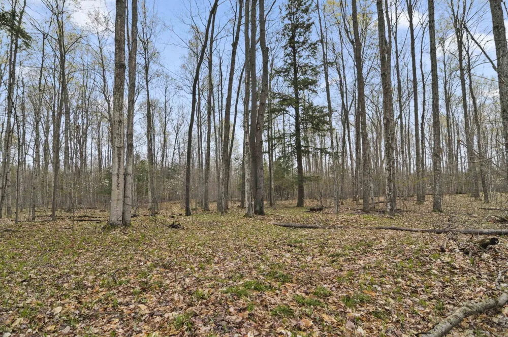 2561 E Johnson Road Norwich Township, MI 49651