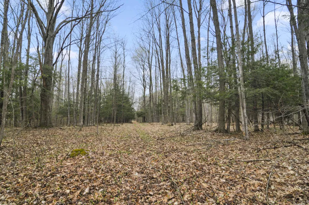 2561 E Johnson Road Norwich Township, MI 49651
