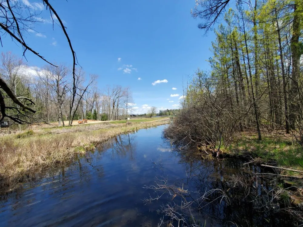 1153 W Channel Street Lilley Township, MI 49309