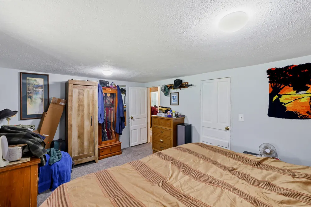 10109 W Wise Road Eureka Township, MI 48838