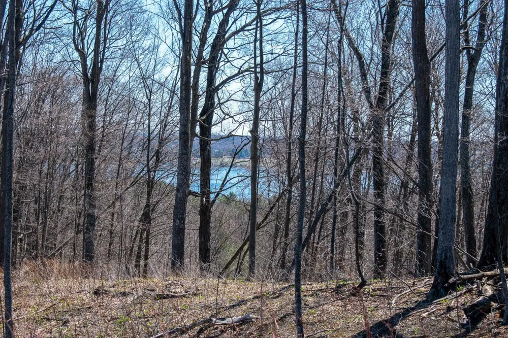 E Smiseth Road Suttons Bay Township, MI 49682