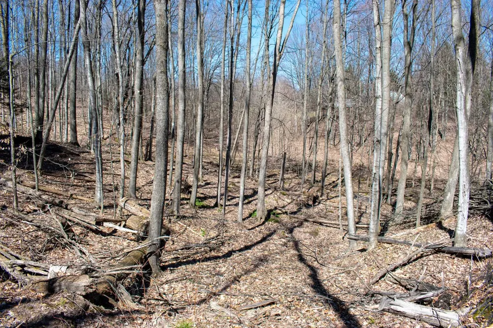 E Smiseth Road Suttons Bay Township, MI 49682