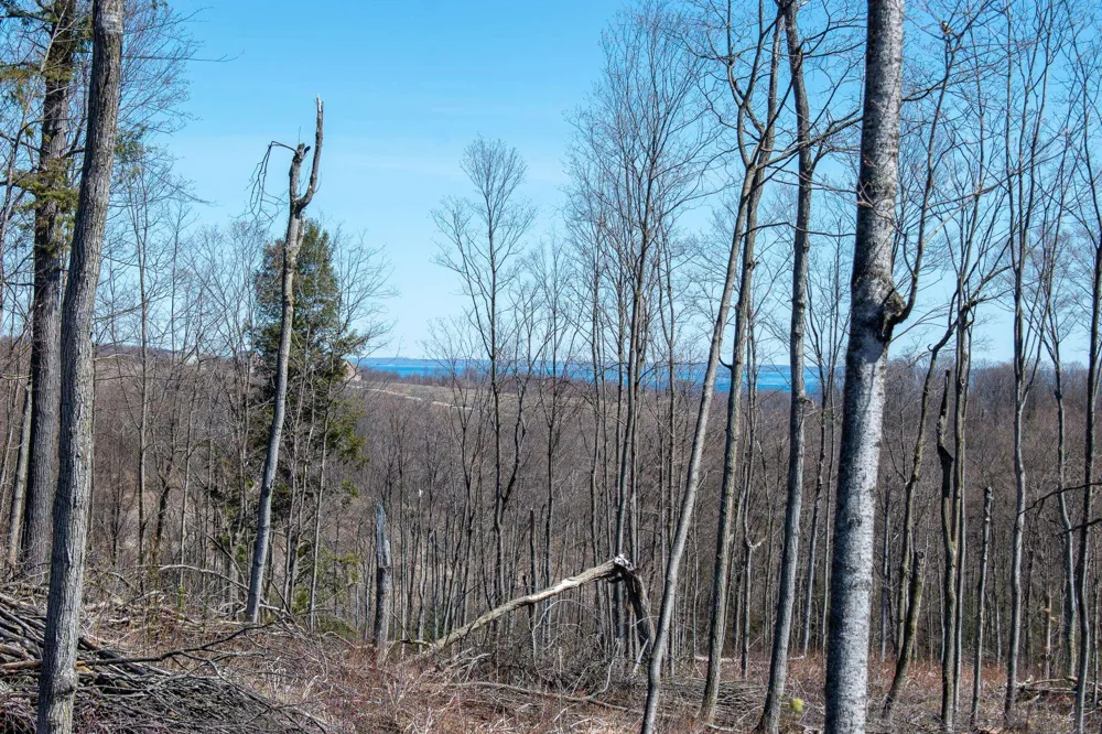 E Smiseth Road Suttons Bay Township, MI 49682