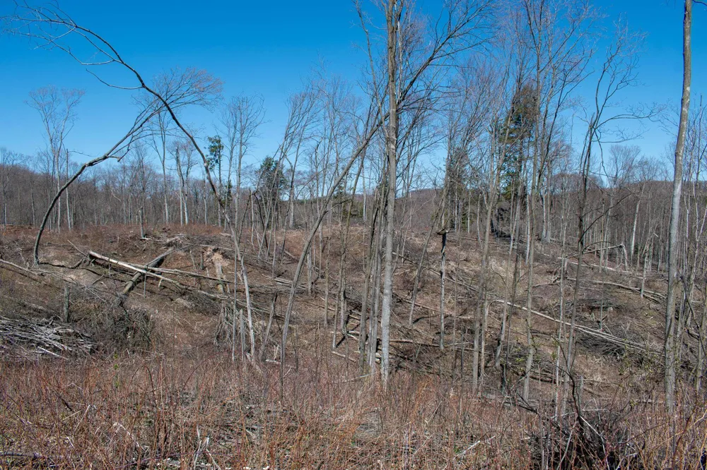 E Smiseth Road Suttons Bay Township, MI 49682