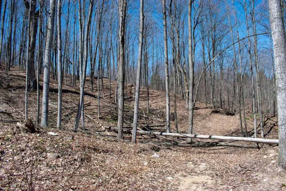 E Smiseth Road Suttons Bay Township, MI 49682