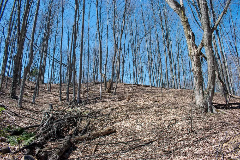 E Smiseth Road Suttons Bay Township, MI 49682