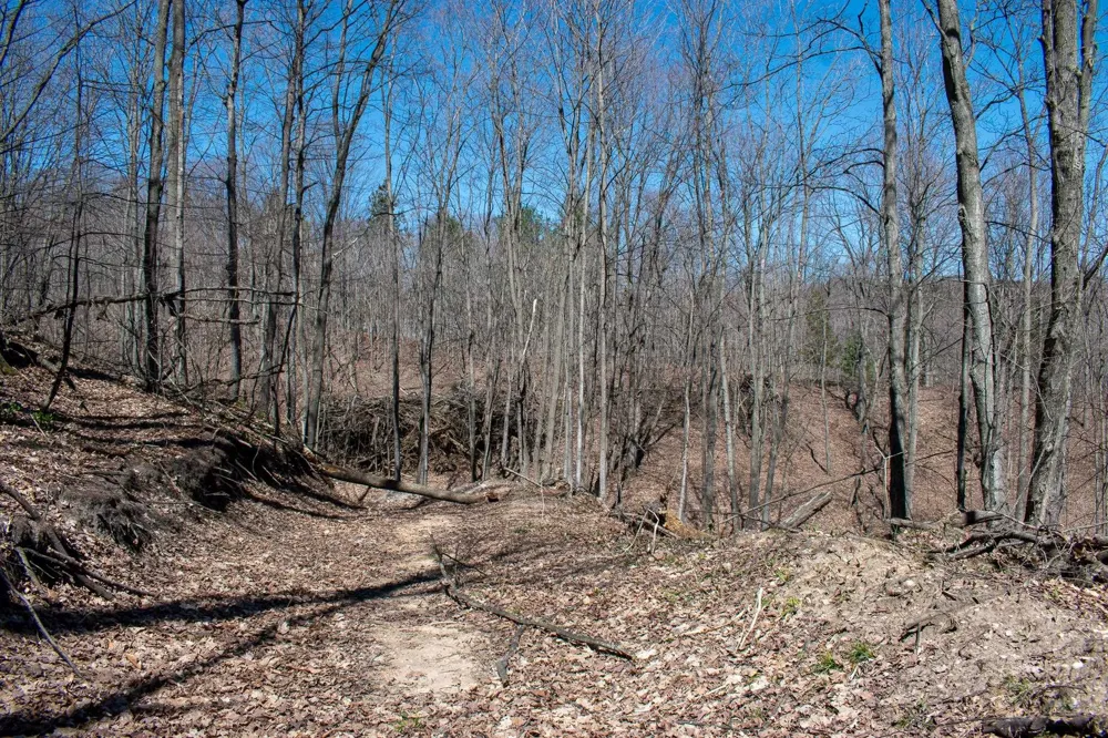 E Smiseth Road Suttons Bay Township, MI 49682