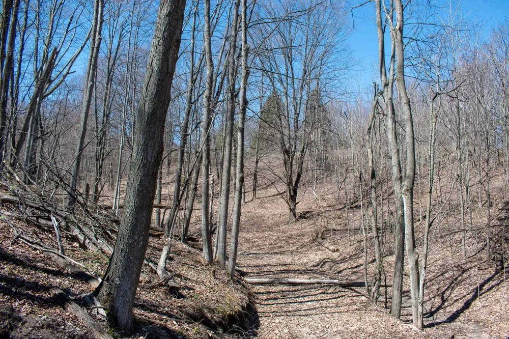 E Smiseth Road Suttons Bay Township, MI 49682
