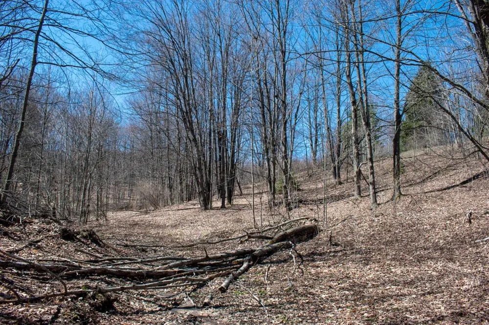 E Smiseth Road Suttons Bay Township, MI 49682