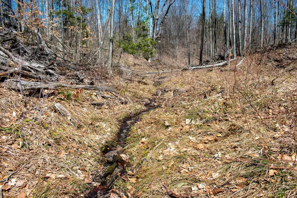 E Smiseth Road Suttons Bay Township, MI 49682