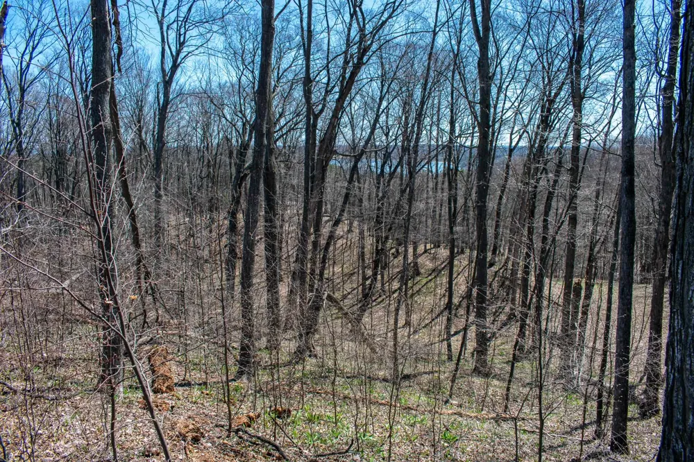 E Smiseth Road Suttons Bay Township, MI 49682