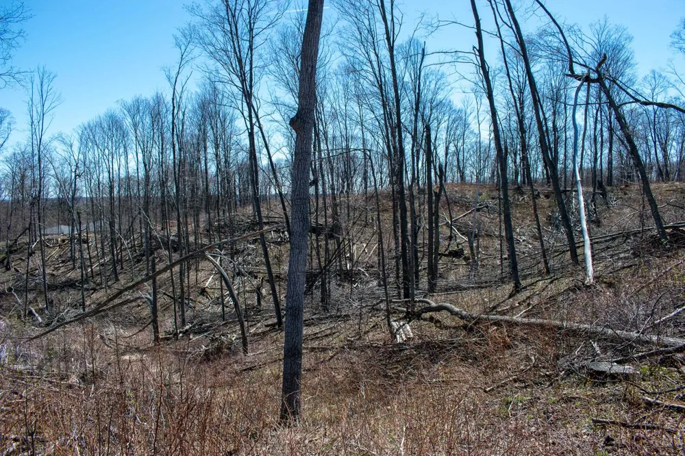 E Smiseth Road Suttons Bay Township, MI 49682