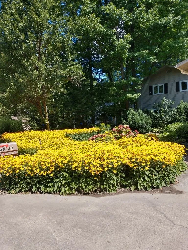 4923 Lakeview Drive Green Lake Township, MI 49643