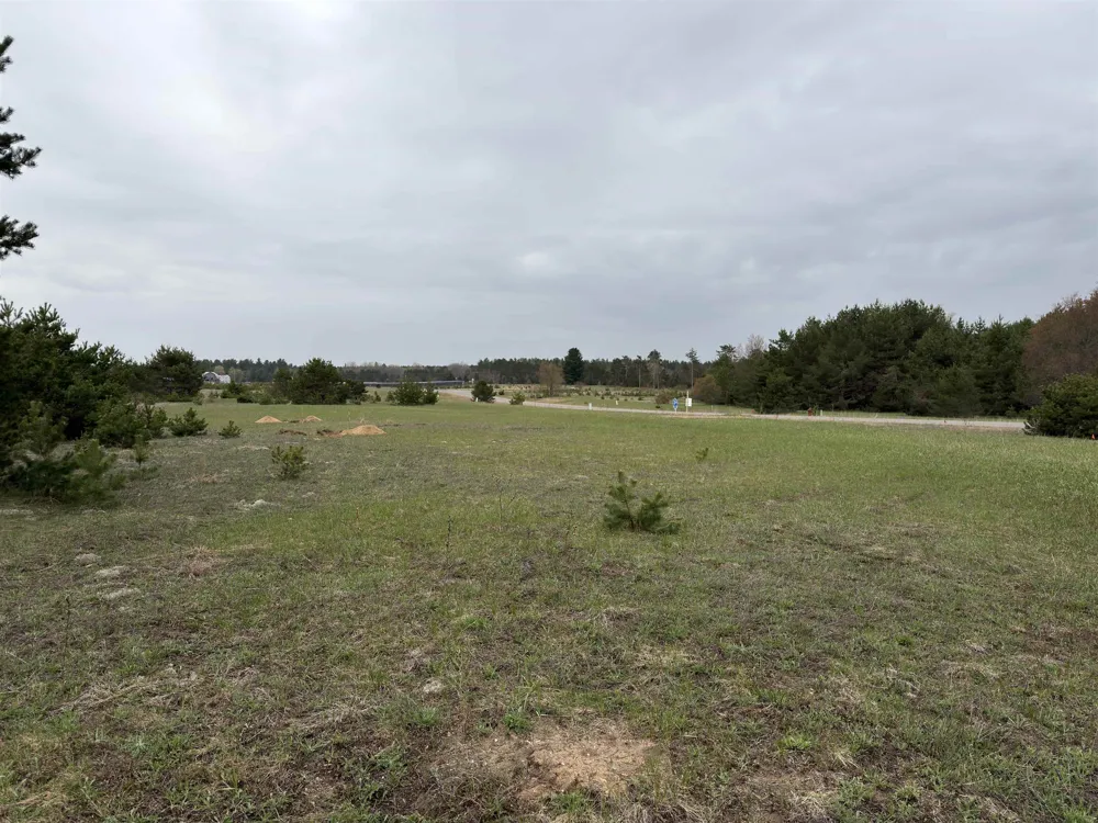 8509 Grant Road Mancelona Township, MI 49659