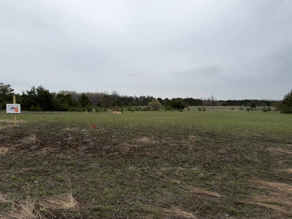 8513 Grant Road Mancelona Township, MI 49649