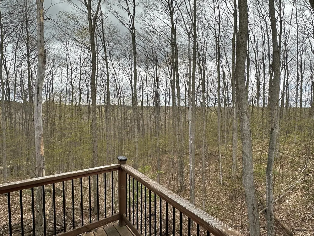 7058 Shade Tree Lane Long Lake Township, MI 49685