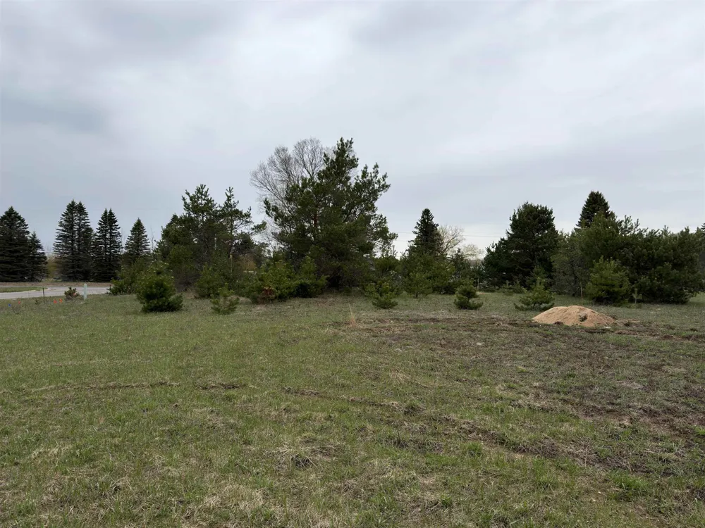 8501 Grant Road Mancelona Township, MI 49659