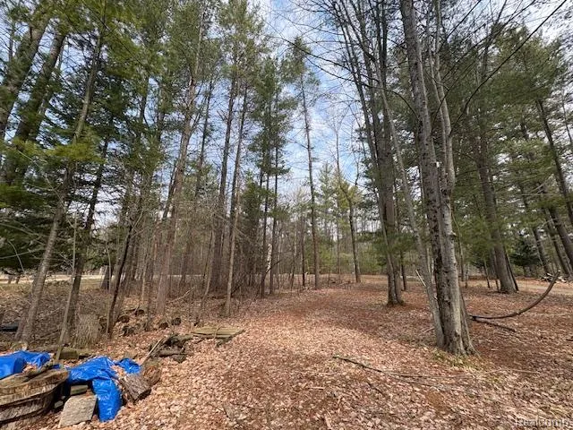 3615 Pinelands Point Road Secord Township, MI 48624