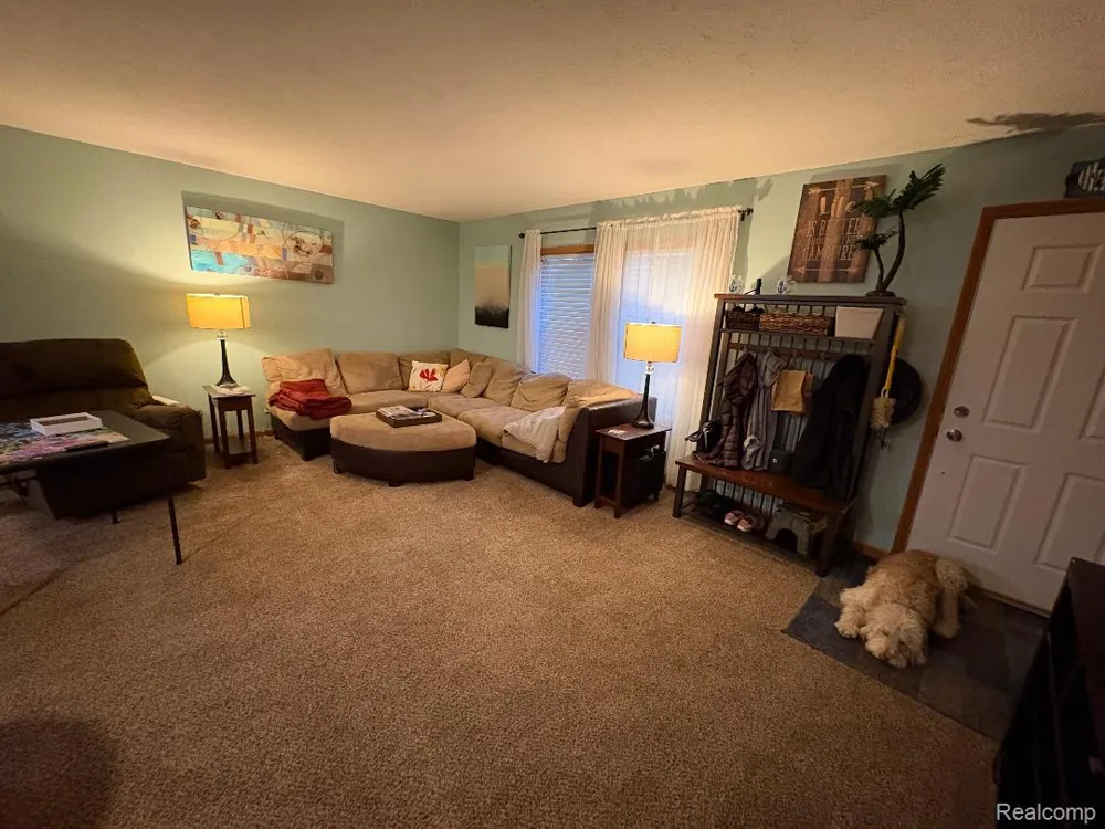 3615 Pinelands Point Road Secord Township, MI 48624