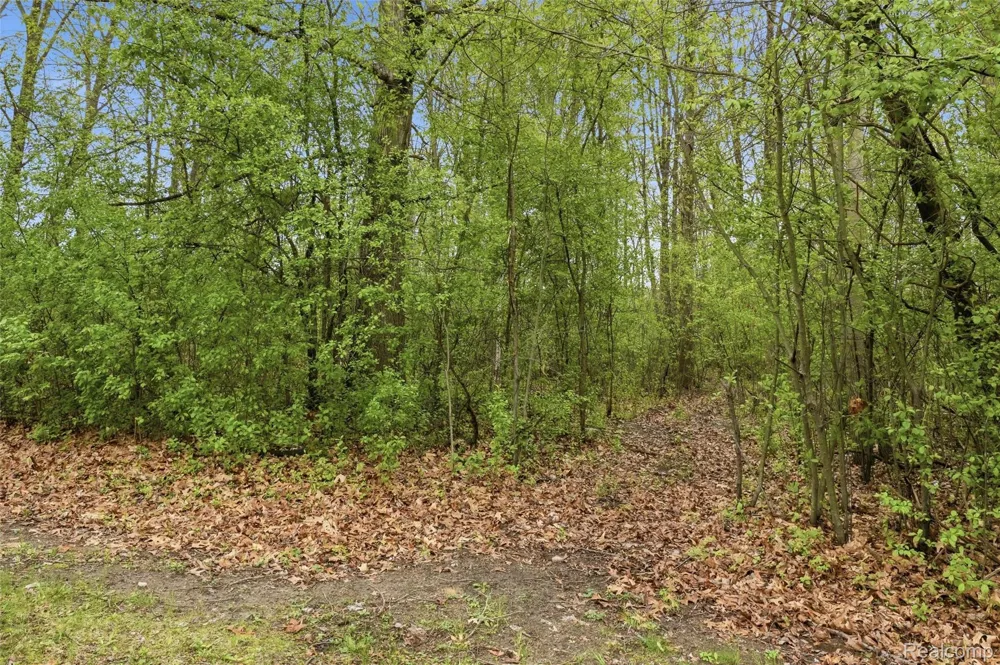 20052 Pine Street Brownstown Charter Township, MI 48183