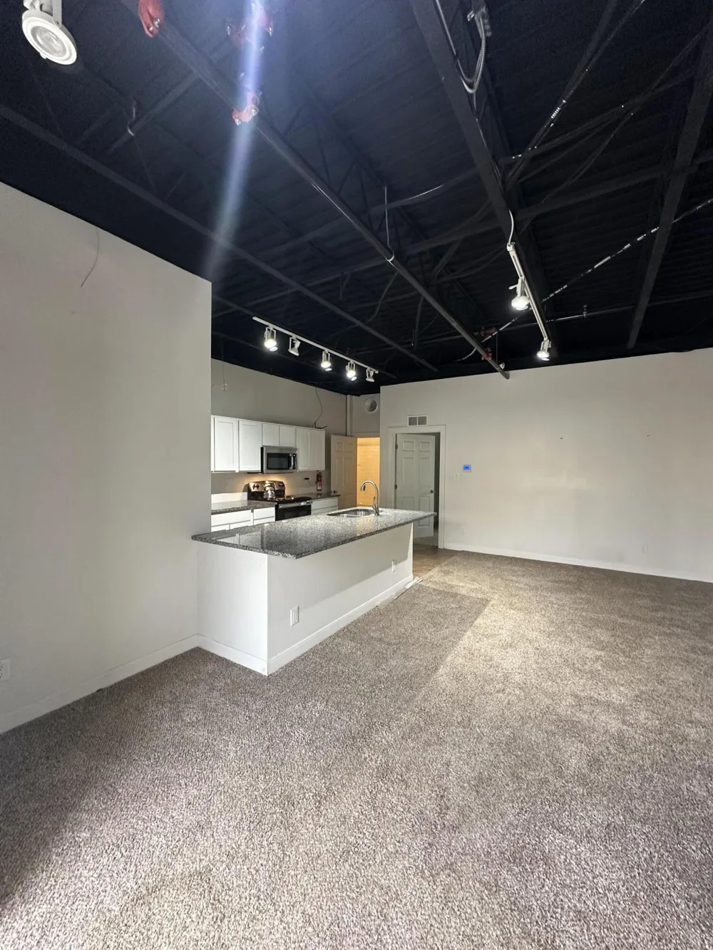 201 Park Street #D Ypsilanti Charter Township, MI 48198