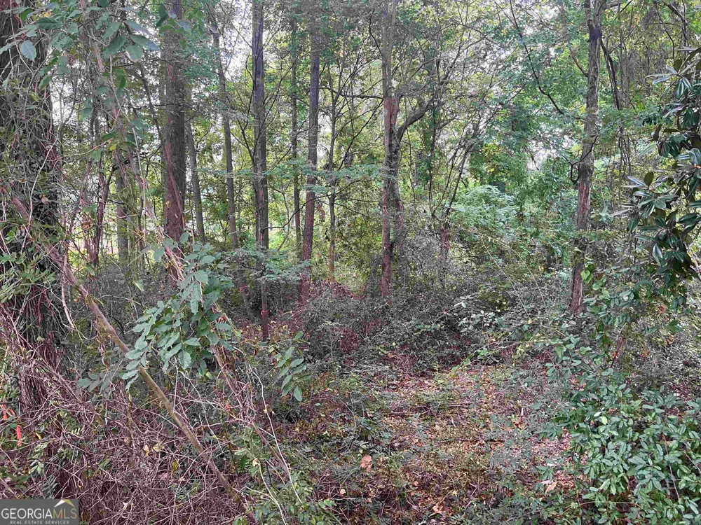 5596 Buford HWY Norcross, GA 30071
