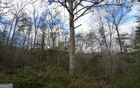 LOT 48 Laurel Brooke