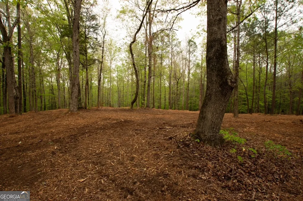 0 River Overlook Forsyth, GA 31029