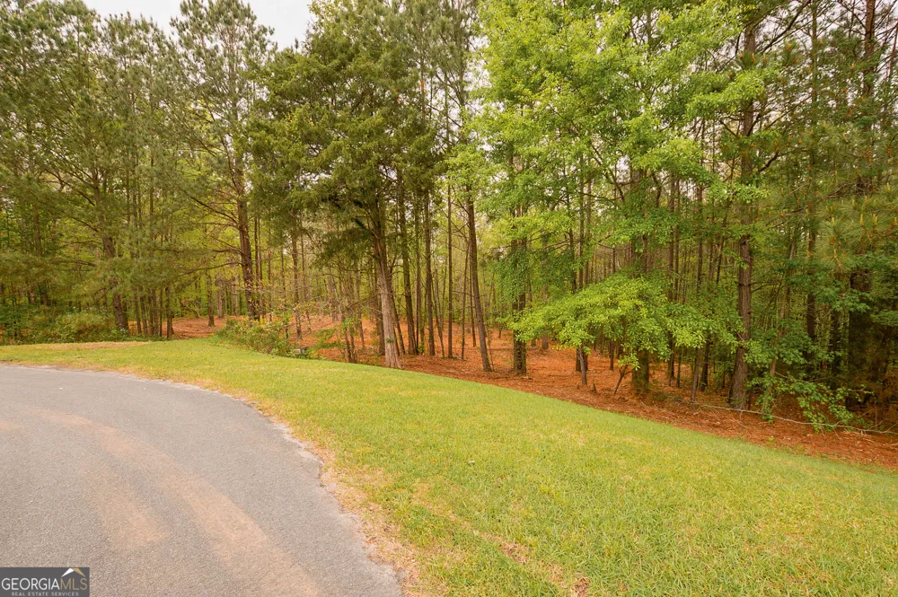 0 River Overlook Forsyth, GA 31029