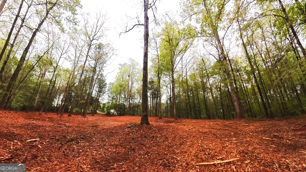 0 River Overlook Forsyth, GA 31029