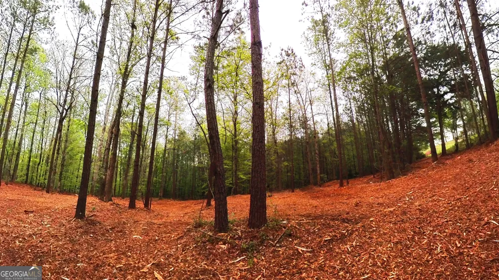 0 River Overlook Forsyth, GA 31029