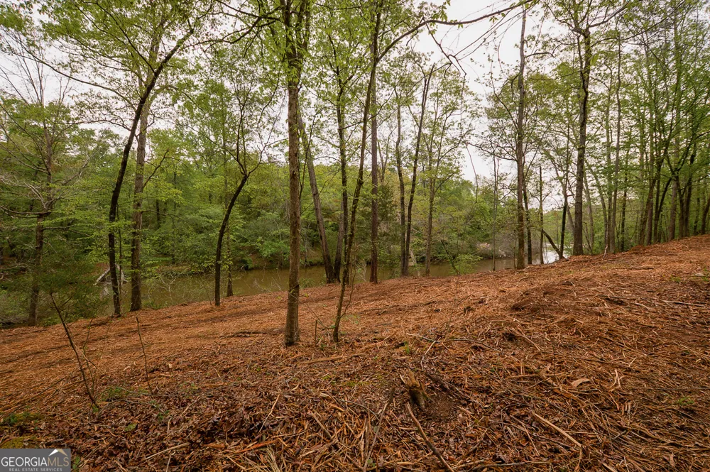 0 River Overlook Forsyth, GA 31029