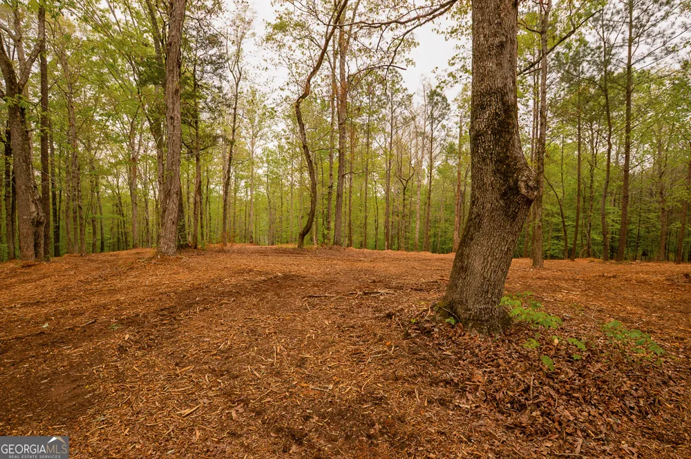 0 River Overlook Forsyth, GA 31029