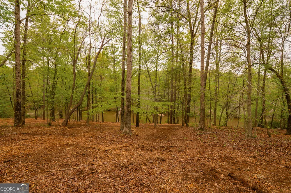 0 River Overlook Forsyth, GA 31029
