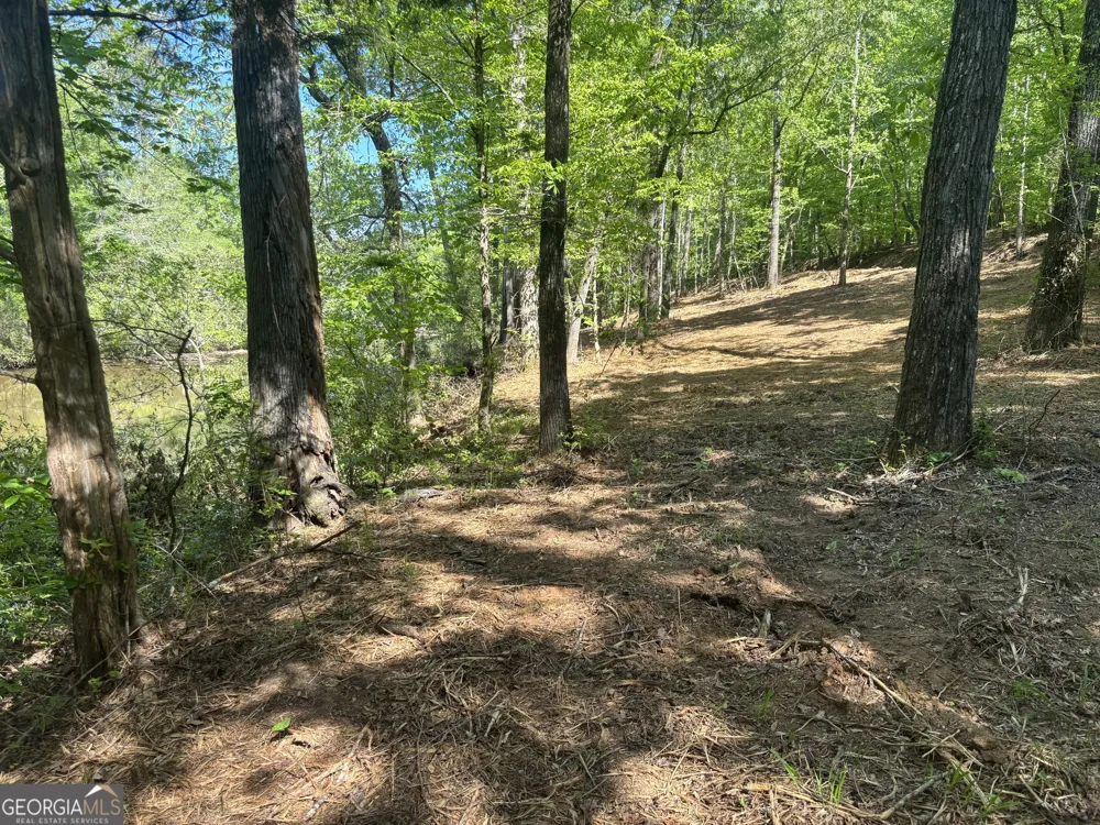 0 River Overlook Forsyth, GA 31029