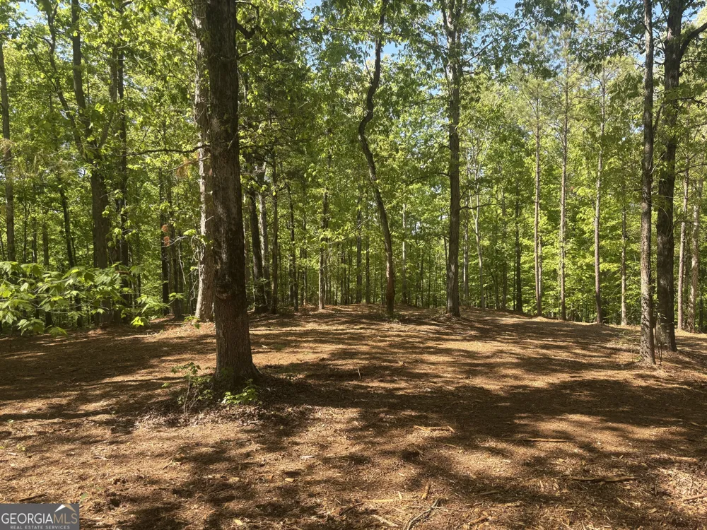 0 River Overlook Forsyth, GA 31029