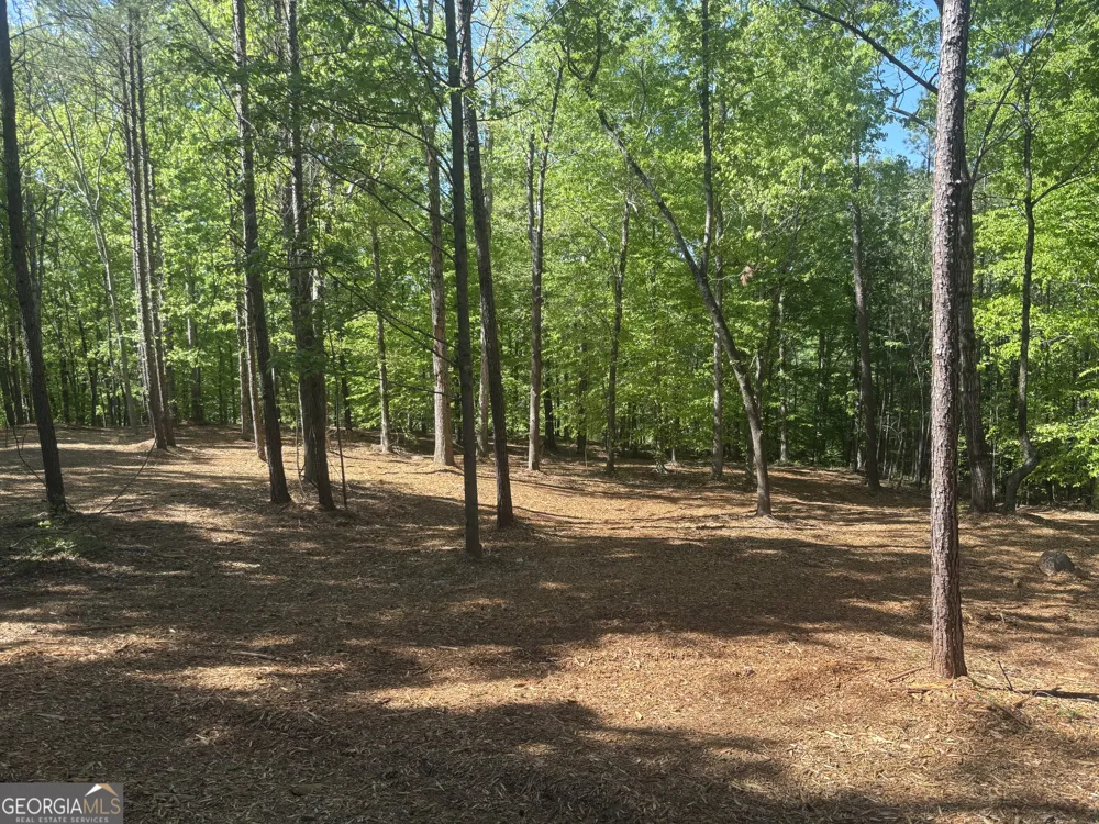 0 River Overlook Forsyth, GA 31029