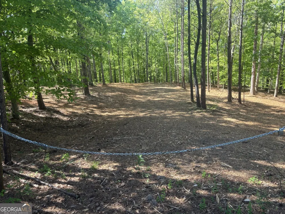0 River Overlook Forsyth, GA 31029