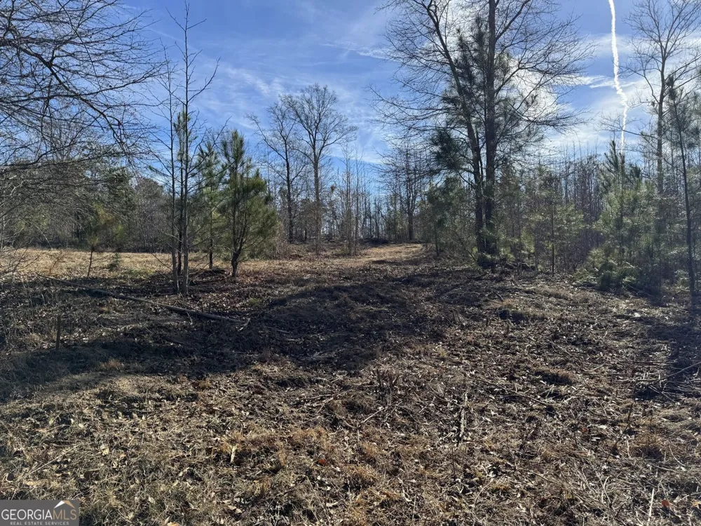 738 Old Mineral Springs RD Elberton, GA 30635