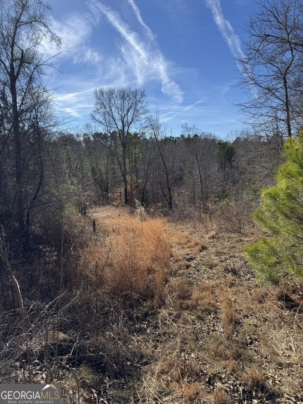 738 Old Mineral Springs RD Elberton, GA 30635